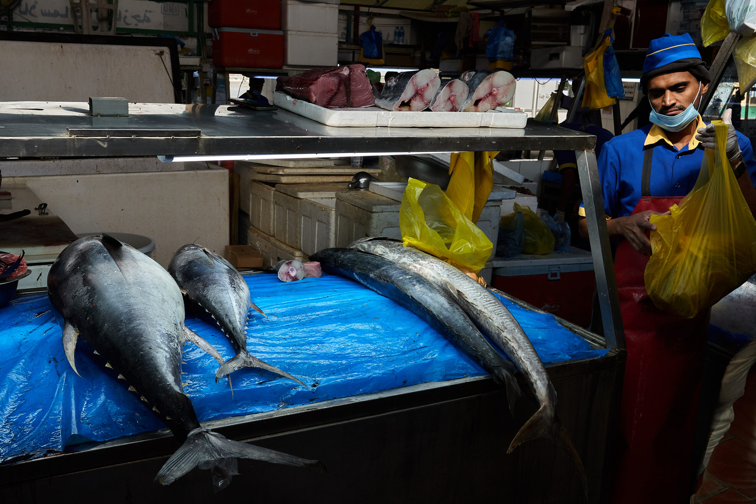 Fish Market Jeddah 2022