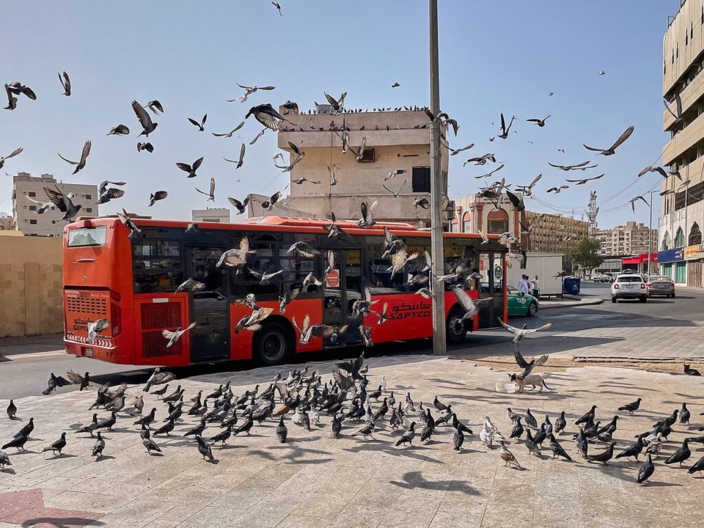 Transportation in Jeddah
