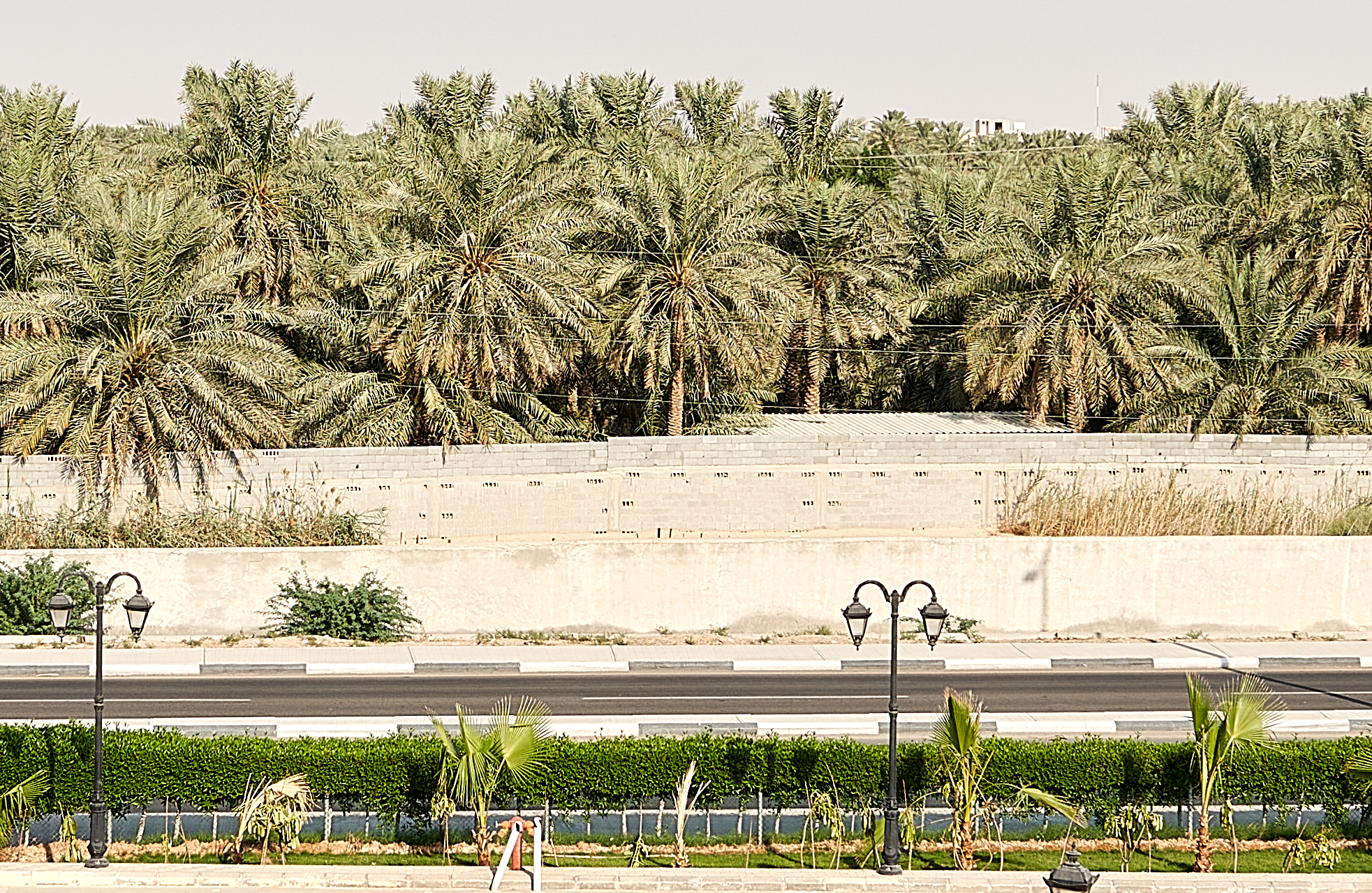 Al Ahsa