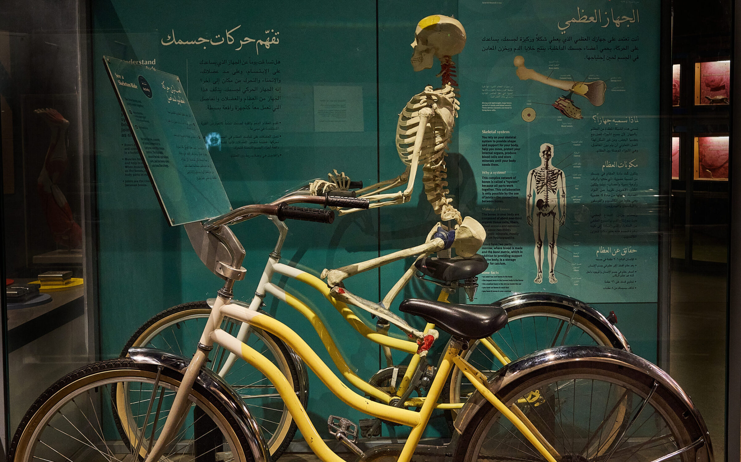 Al Khobar – Scitech Museum
