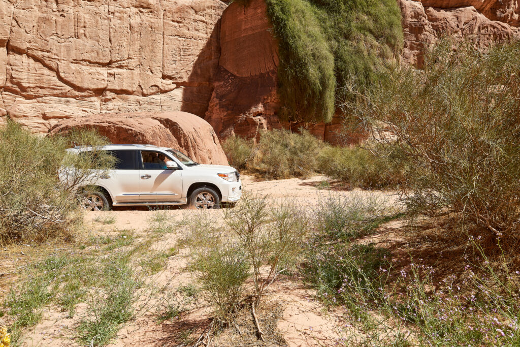 Pharaoh's Cave Tabuk