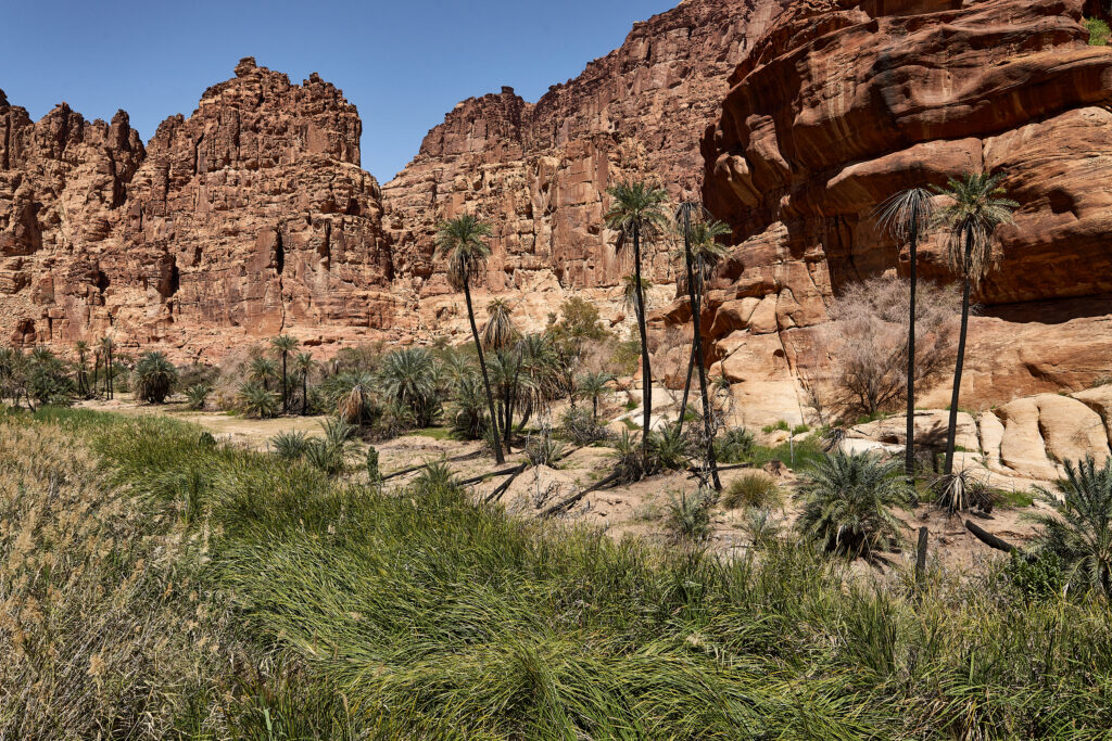 Wadi Disah Tabuk Province
