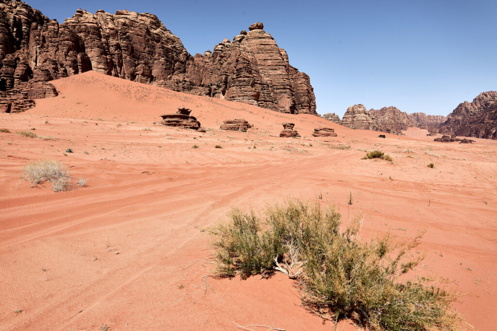 Red Sands Tabuk Province