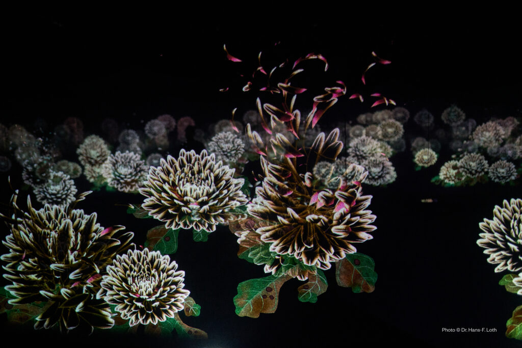 teamLab Borderless Jeddah 2025