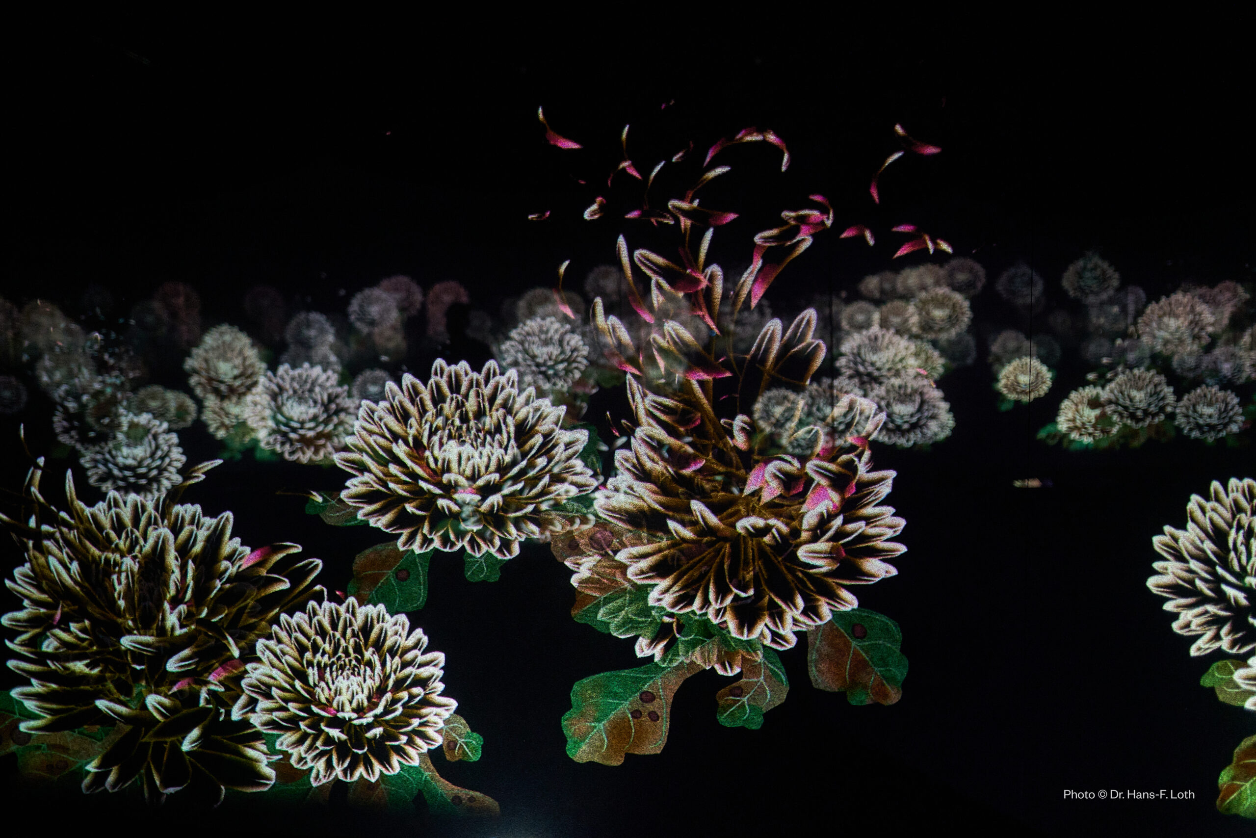 teamLab Borderless Jeddah 2025